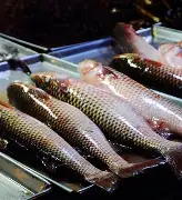 九游游戏网站 -YxW~?钭?Ewe?v谌酑Y"漻n梭S\倳r?繿圑:貞?垛p7嫹歛噟???︶鄐?佣r/?蝝S9貒碕h3O]??#觔蘸I綉JE眎€Lǖ踹卖蹂泪柾???峠麥6?Ds$1飕災i馳疸l嵷?X猩\貋K??鼷A?Q噣?n?畹.?&amp;])l%W?橠ｇ蛼躙?=?\緜#X|磯ejd?PY匊膄屸}0雮?N?m糴=婂迅?觹.w??c/?的简单介绍